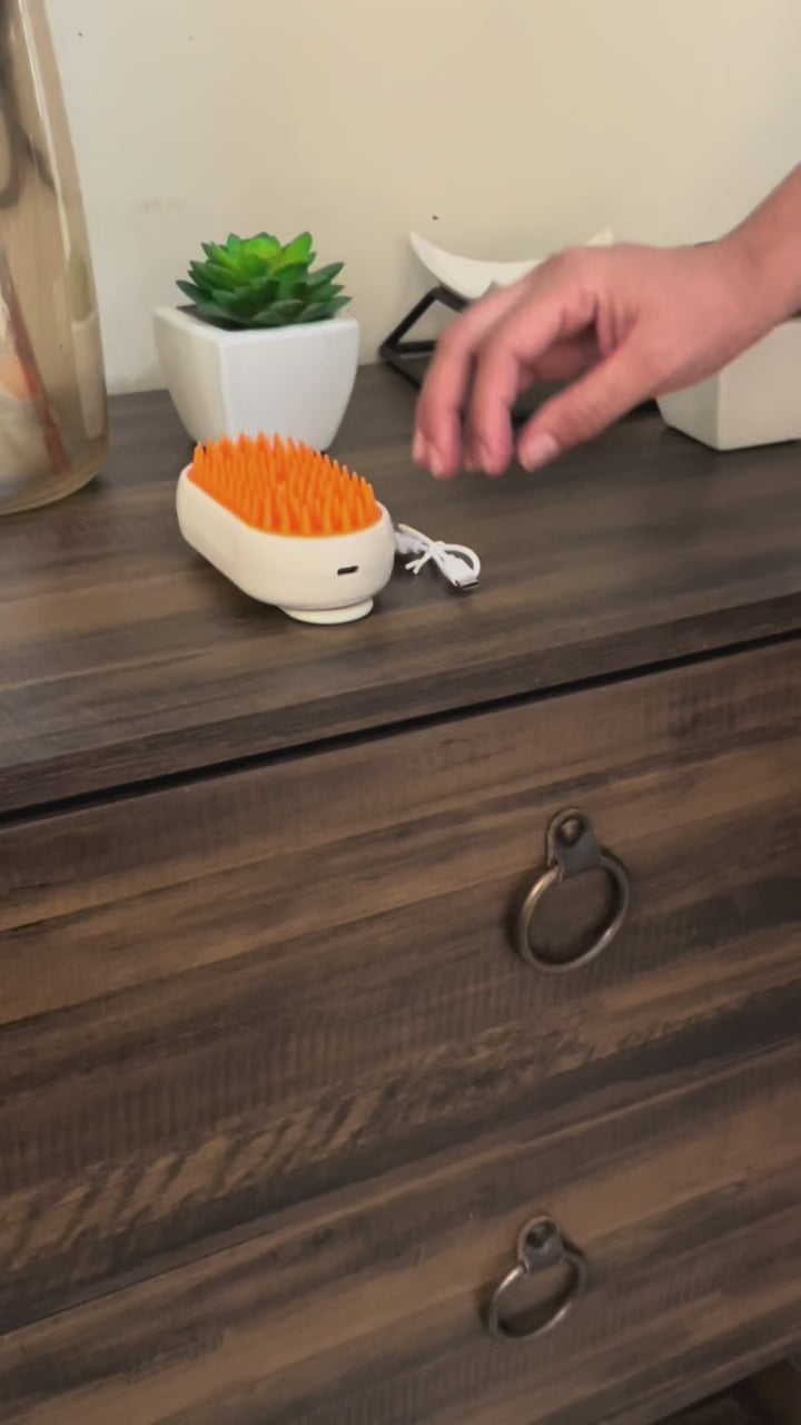 CEPILLO VAPORIZADOR CLEAN-CAT